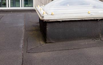 disadvantages of Tower Gardens flat roofs