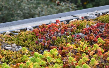 the cost of Tower Gardens green roof installation
