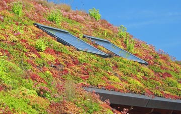 Tower Gardens living roof systems