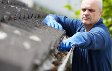 cleaning and inspecting Tower Gardens roofs