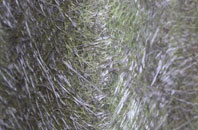 Tower Gardens fibreglass roof work